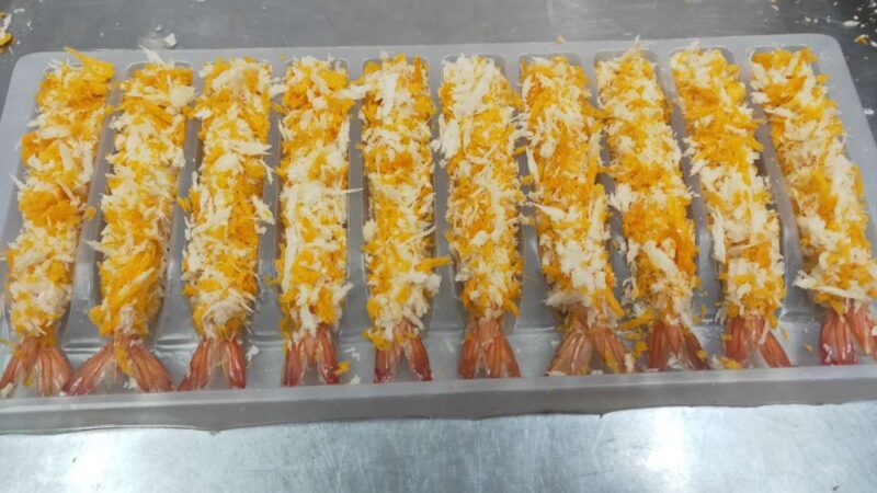 White+yellow breaded Tor