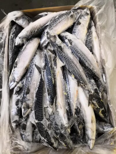 60354410_135084087638555_1116438098184503296_n