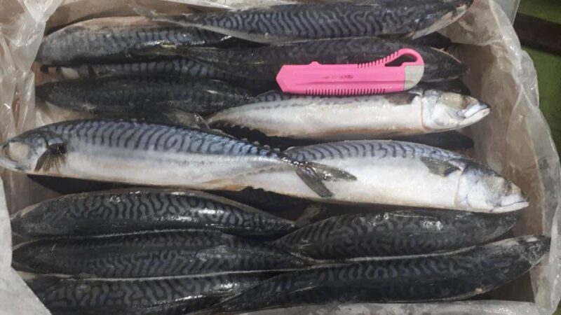 43433441_153239498954245_8203869550949695488_n