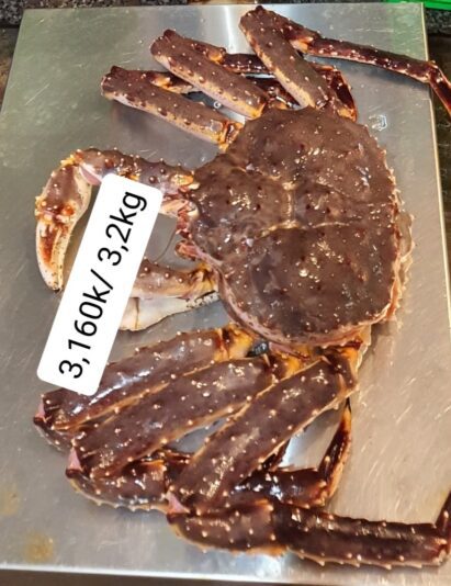 king crabs from fac0001