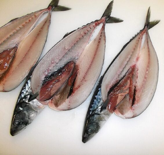 mackerel original 003