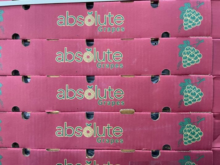 WhatsApp Image 2022-01-18 at 12.46.12 PM