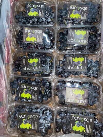 WhatsApp Image 2022-01-18 at 12.46.13 PM