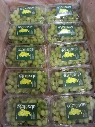 WhatsApp Image 2021-12-02 at 11.22.37 AM