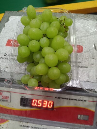 WhatsApp Image 2021-12-02 at 11.22.36 AM