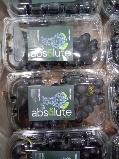 WhatsApp Image 2021-12-03 at 5.38.12 PM (1)