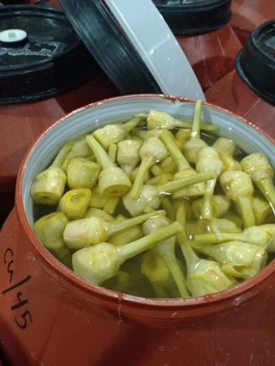 WhatsApp Image 2021-08-10 at 11.25.35