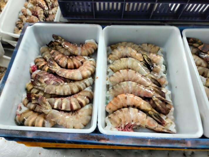 WhatsApp Image 2023-01-04 at 3.00.12 PM