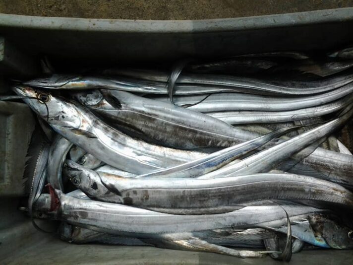 70590502_2116647825107419_1581134799194554368_n