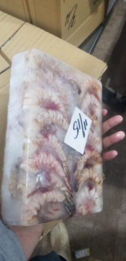 WhatsApp Image 2023-01-04 at 3.00.13 PM