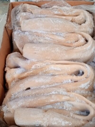 WhatsApp Image 2022-10-25 at 2.16.12 AM (1)