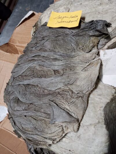 WhatsApp Image 2023-01-12 at 5.11.38 PM