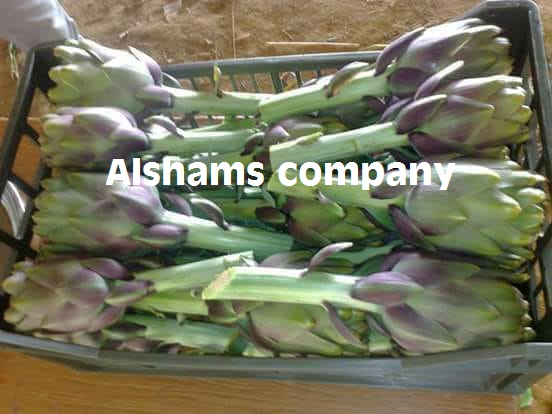 WhatsApp Image 2018-11-15 at 01.41.09