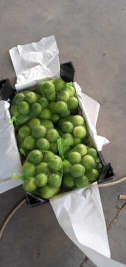 WhatsApp Image 2021-05-04 at 1.56.36 PM