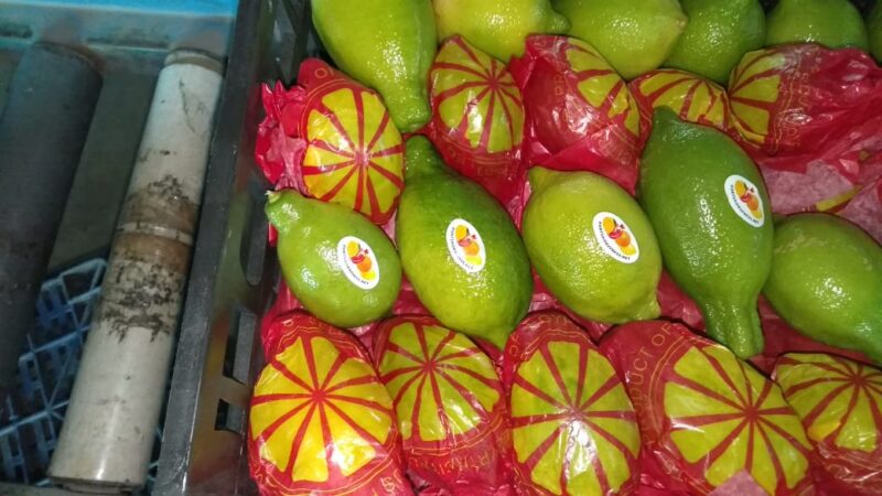 WhatsApp Image 2020-07-09 at 1.02.06 PM (1)