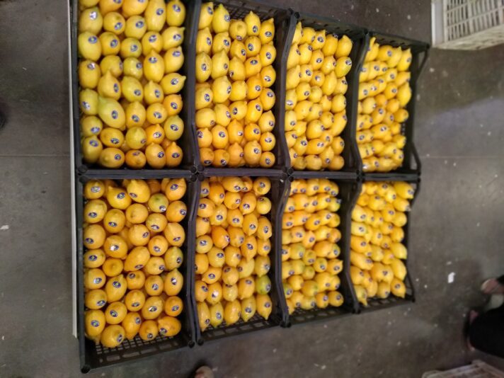 WhatsApp Image 2020-07-09 at 1.02.10 PM