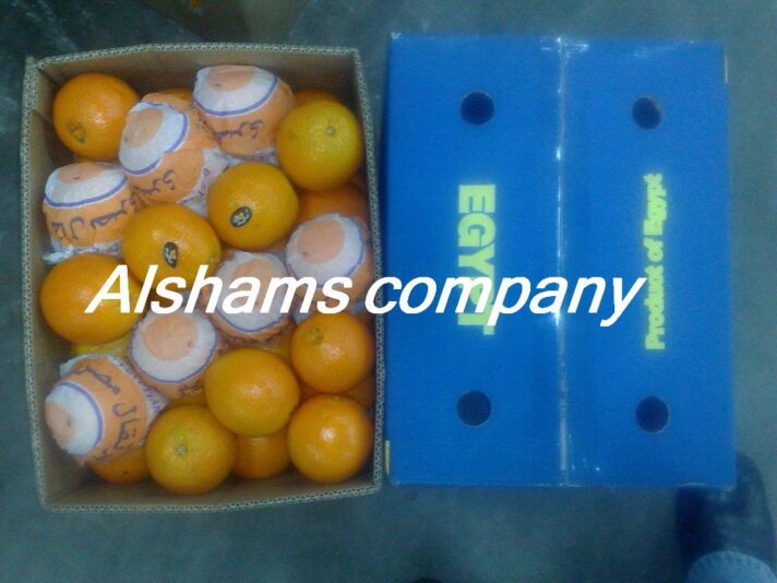 Copy (2) of ٠٧٠١٢٠١٠٧٩٣