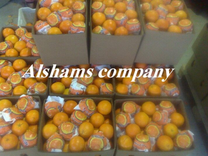 Copy of ١٧٠١٢٠١٠٨١١