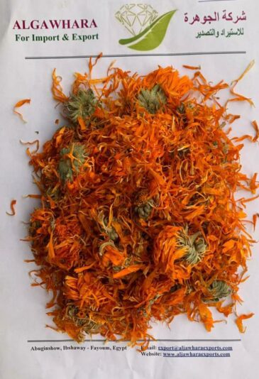 CALENDULA 3