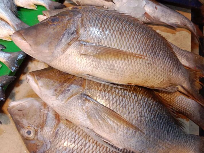 39fc02ca-ee64-478d-af50-ff74b08d7c74