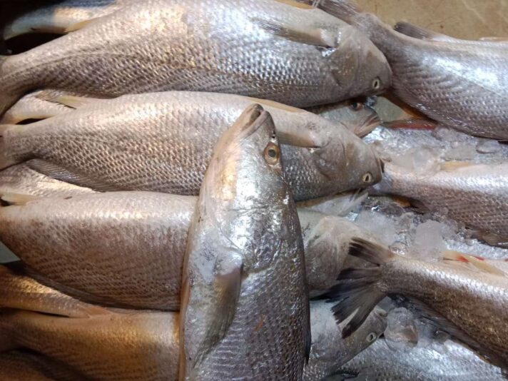 261ffc80-5165-484d-bca3-c9a613109b2c