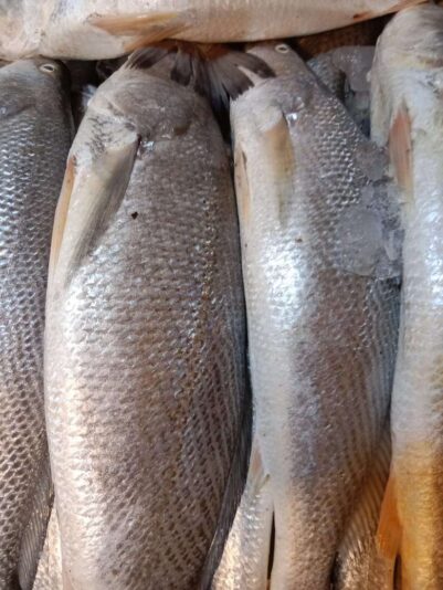 129d60a0-f675-4dd6-91f0-e39ae9ce3a61