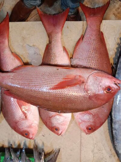 cfd5ab79-c80a-4061-9ad7-0a0ff6f0531c