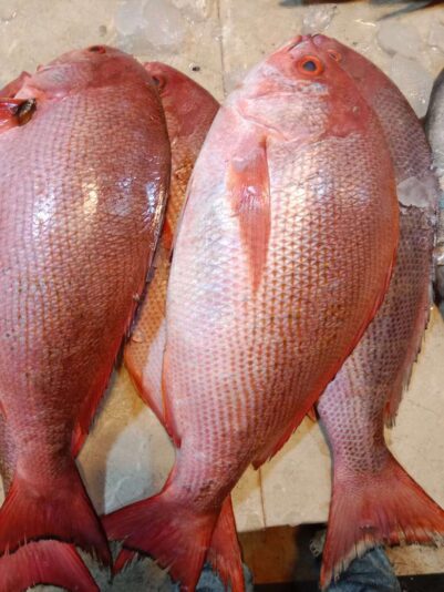 0c8304f9-0bc8-4889-b2f8-1f5a6770018b