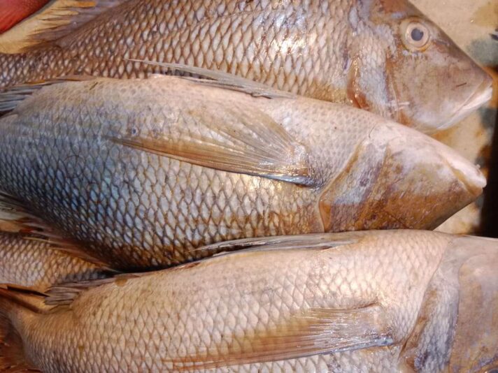 beeff6d6-8ec2-41a6-91fc-5453595bbeea