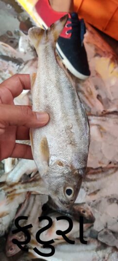 0B649442-9111-43DC-9387-AA3CAD27B37F