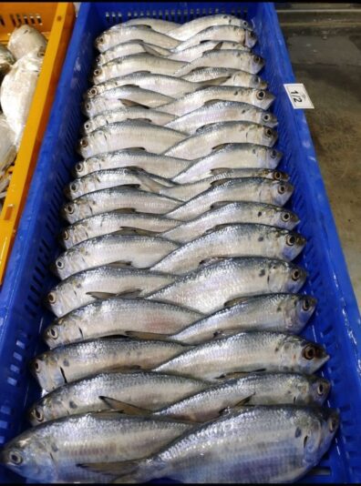 146D8E0B-492C-428B-8140-3A756C66F72C