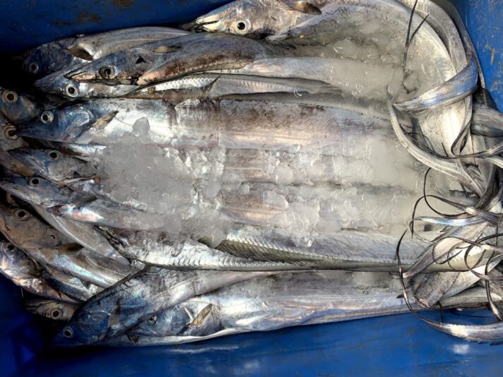 08BAE141-AC9E-4ADA-B28B-B1B5BC49FAAC