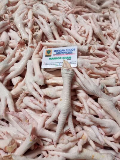 02d9af0b-494a-43b1-b1f3-13963b5eb283