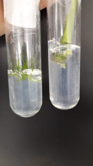 D8C083AF-7ECE-4804-9BE5-B0A66CD0AD72