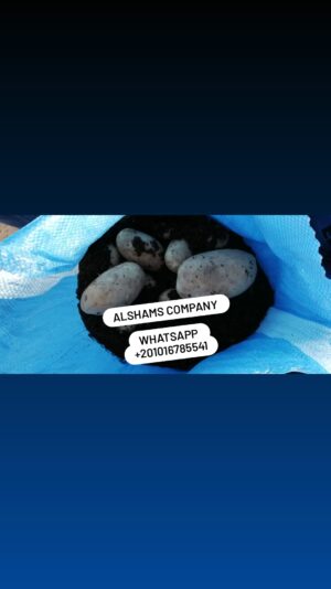 WhatsApp Image 2023-02-12 at 2.20.58 PM