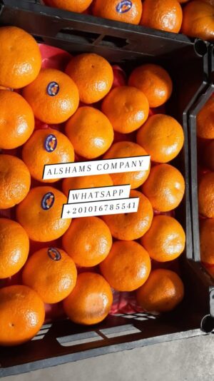 WhatsApp Image 2023-02-12 at 2.20.47 PM