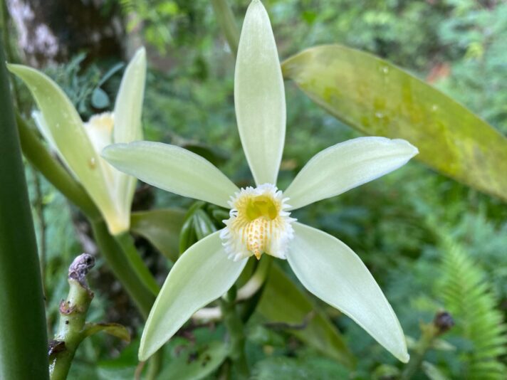 B6F62682-40A1-46DF-BA89-C3DBC1AE0F78