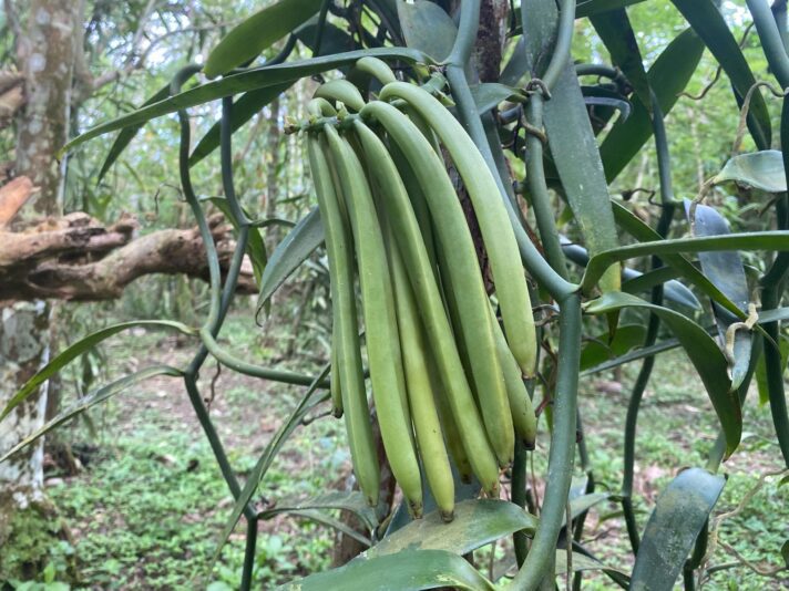 32331592-5047-4FC0-BA26-82F215400856