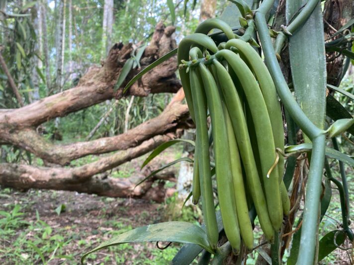 D921248C-1574-4585-83C0-F5BB5D0B1AAC