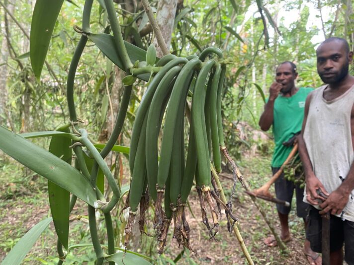 981EDEB8-465C-4DFD-BD7D-69F2CB656091