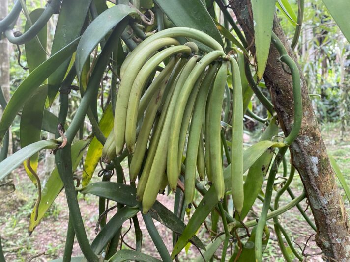 AE2B0AF6-5BFE-419A-A252-5121FBDCBA11