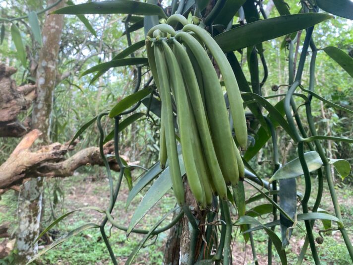 EC10EC27-186A-400A-A351-BCC838B4D15B