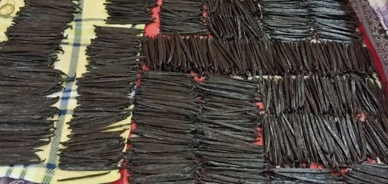 CEFF315C-E96A-48AC-93CF-7662D3E46292