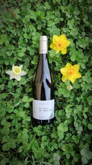 1883bd54-a35c-43a4-849f-511dce7fdfa5