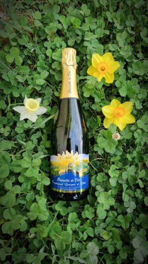 b0c95f8c-ae28-4331-a611-2d7905d54024