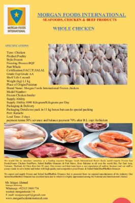 WhatsApp Image 2023-02-21 at 1.00.57 AM