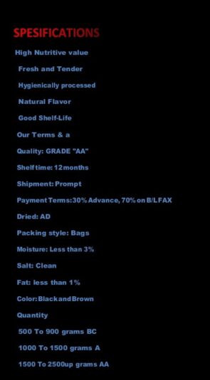 WhatsApp Image 2023-02-26 at 4.18.29 AM