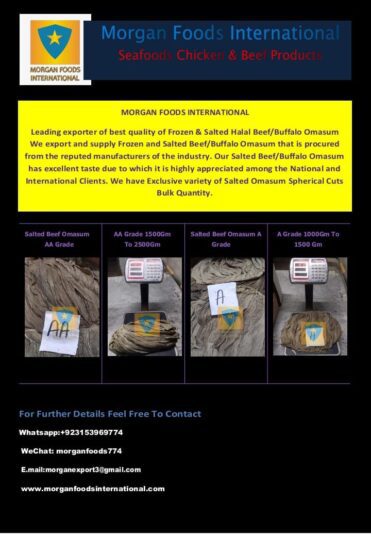 WhatsApp Image 2023-02-26 at 4.17.11 AM