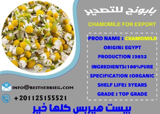 CHAMOMILE
