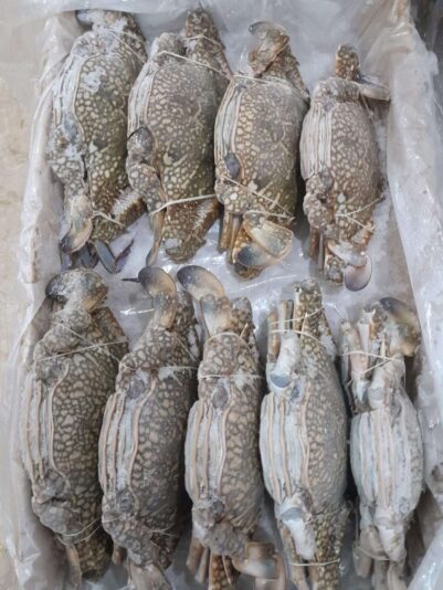 e2ef15a1-0338-40ff-b61f-54e96b1bd270